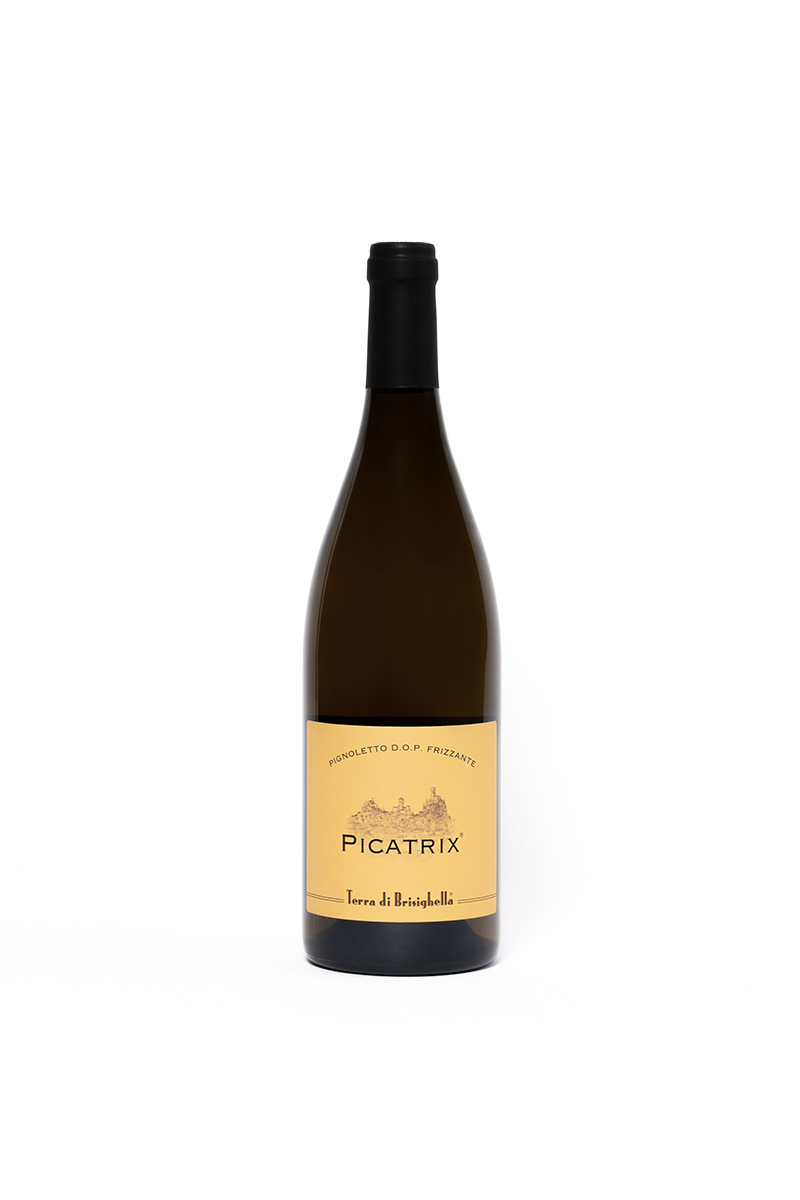 picatrixpignolettofrizzante PICATRIX®-Pignoletto DOC 2023 frizzante - immagine 1