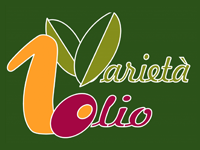 varietà olio