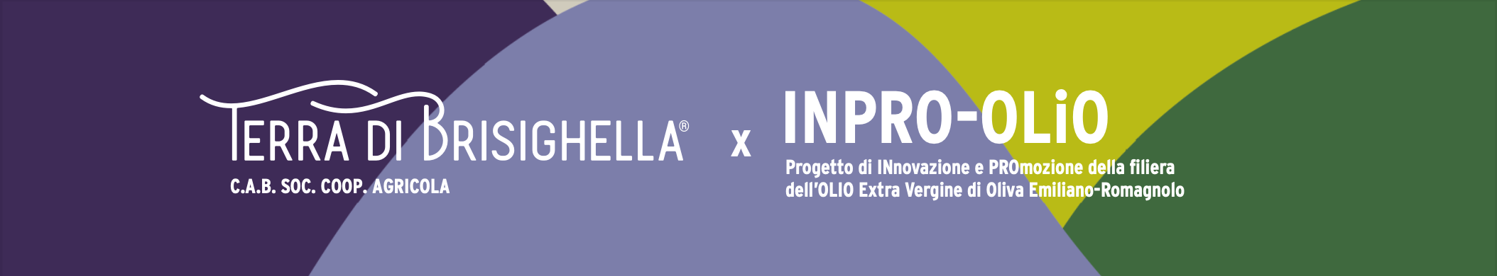 TDB - INPROLIO