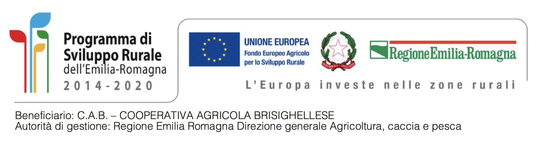 Schermata 2024-02-21 alle 16.30.55